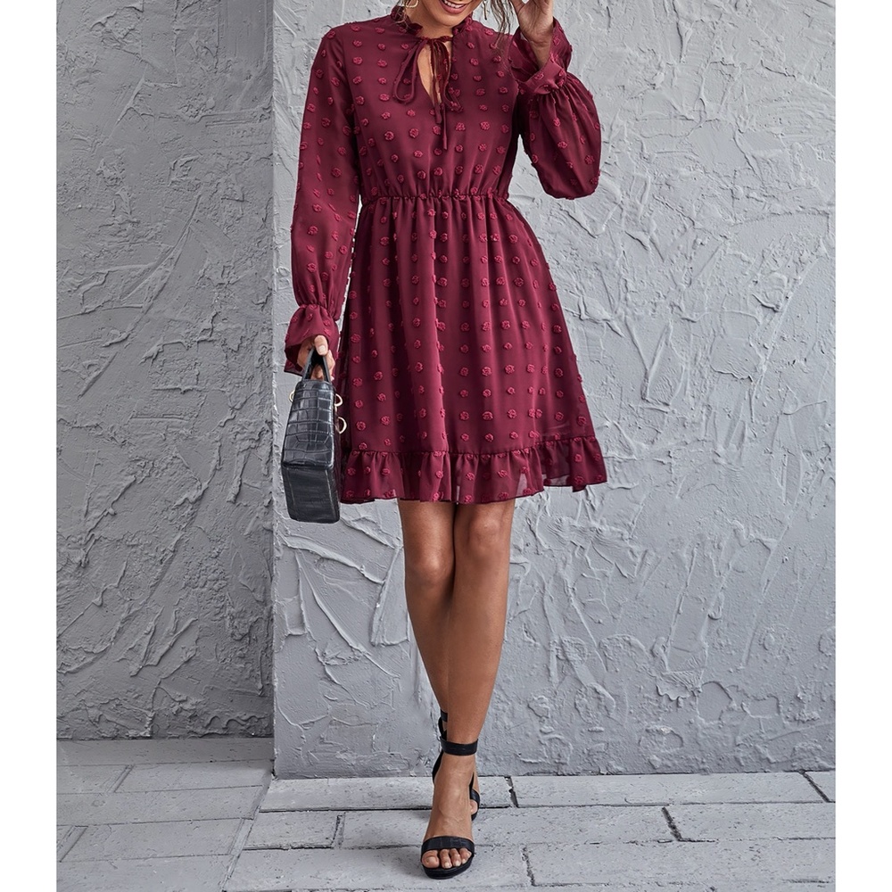 Maroon Red Swiss Dot Long Sleeve Ruffle Dress - Picture 3 of 6